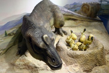 恐龙孵化模型