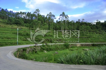 乡村公路转弯地段