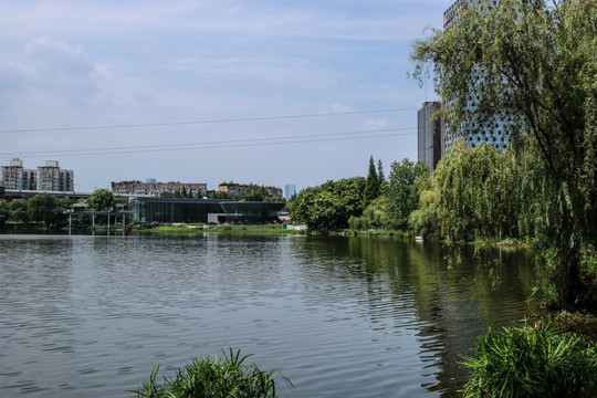 湖岸风光