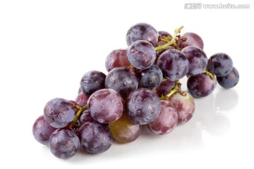 葡萄