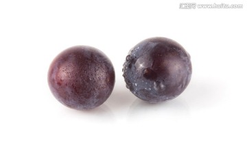 葡萄