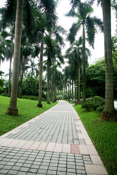 花园小路 公园景区