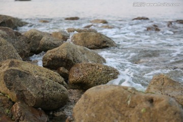 海边的石头