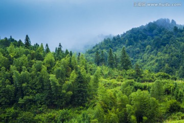 青山