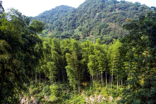 水墨汀溪风景区