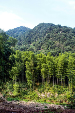 水墨汀溪风景区