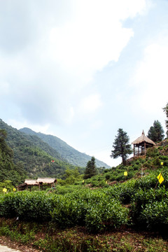 水墨汀溪风景区