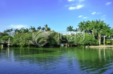 绿色湖岸风景画