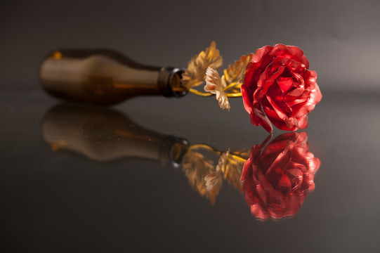 玫瑰花与啤酒瓶