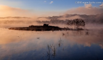 大桥黑颈鹤保护区