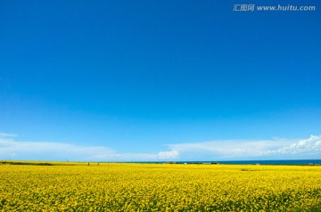 青海湖畔风景