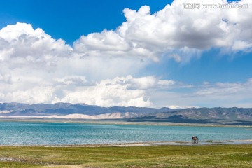 青海湖畔风景