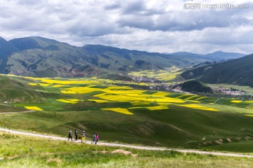 祁连县丹霞地貌的油菜花海