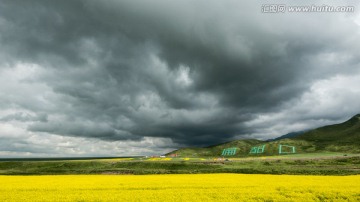 青海扁都口油菜花海