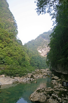 河道 河床