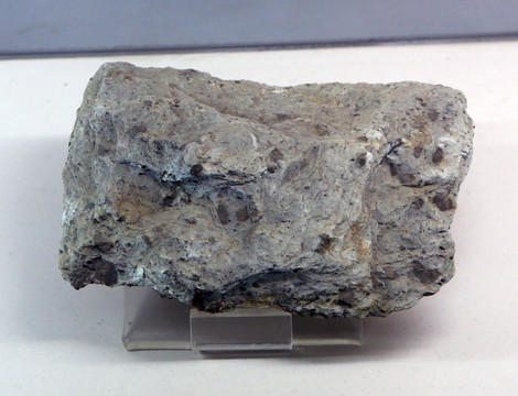 十字石榴云母片岩标本