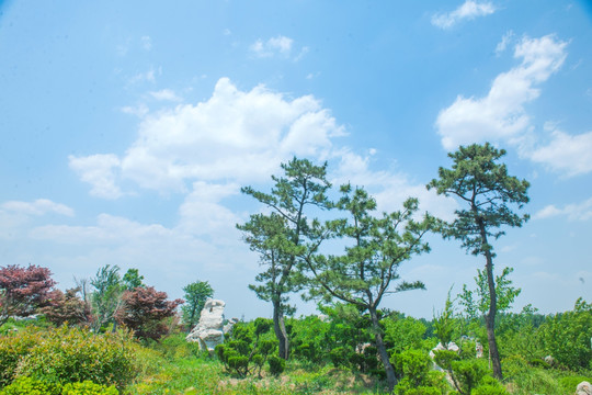 蓝天白云 公园风景