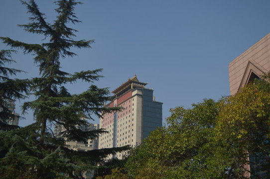 上海楼房