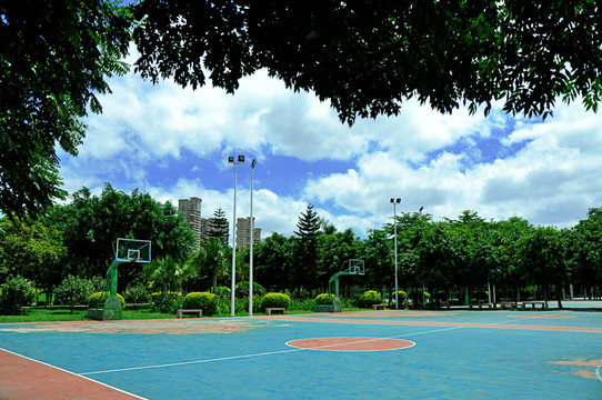 体育中心篮球场