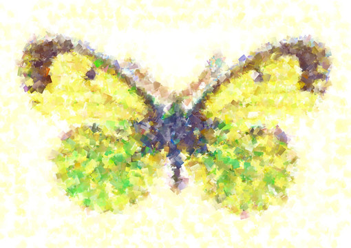 蝴蝶 数码印花 色块抽象油画