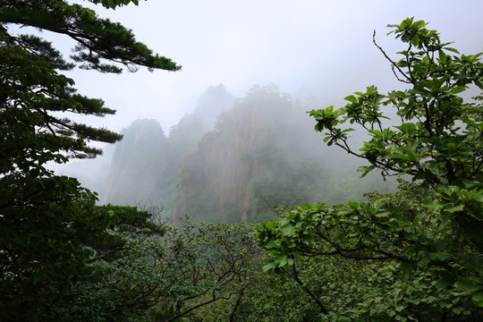 朦胧的山色