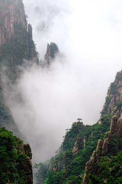 黄山 高清
