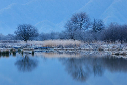 大九湖