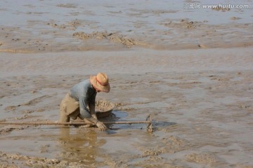 捞海瓜子的人