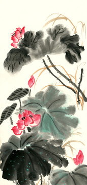 国画荷花 装饰画