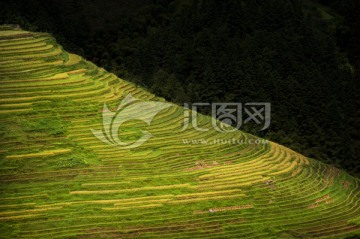 从江加榜梯田