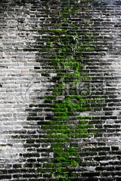 古城墙 緑青苔 背景素材