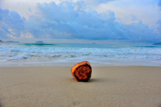 沙滩清晨椰壳