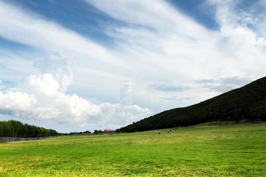 草原 原野