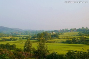 秋天的田野