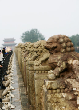 卢沟桥 石狮子 北京 文物