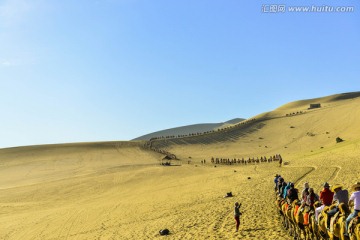 沙丘上的骆驼队