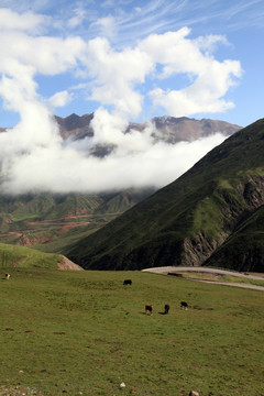 牛心山