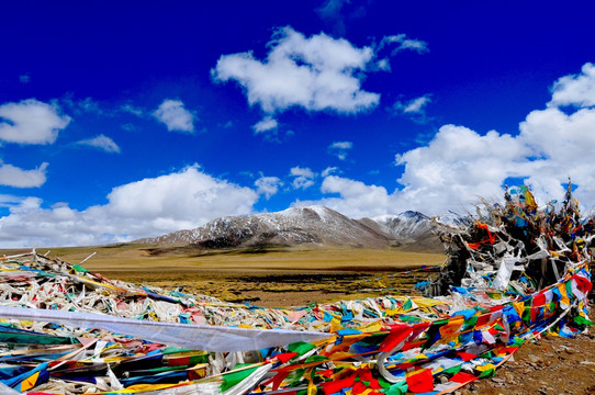 西藏旅游 西藏符号 经幡 蓝天
