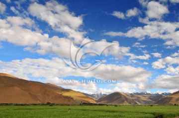 西藏风光 高原牧场 蓝天白云