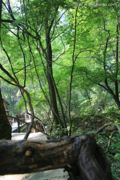 山水