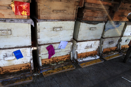 养蜂人 蜂箱