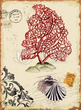 复古怀旧海螺邮票装饰画
