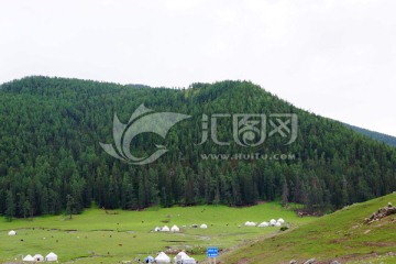 高山森林牧场