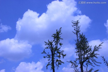小树 蓝天