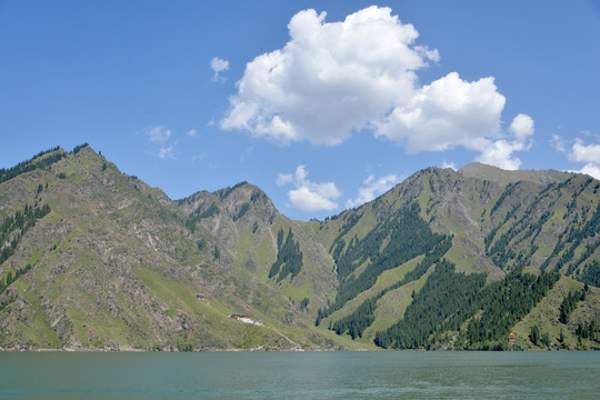 天池 雪山 天山