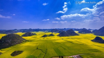 罗平金鸡岭