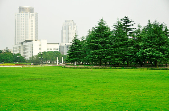 青草地青松高楼