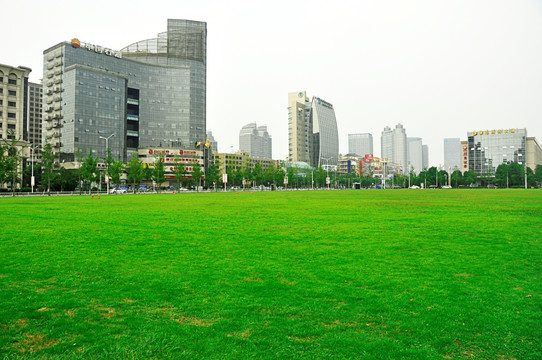 台州椒江市景