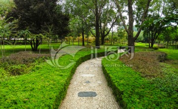 公园绿化风景