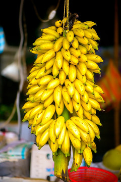 一串大蕉香蕉